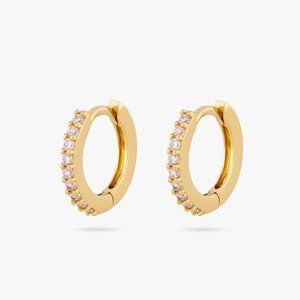 Elegant Gold Hoop Earrings